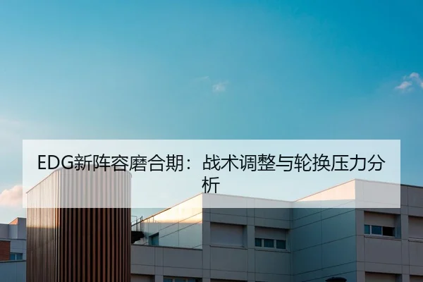 xin-zhen-rong-mo-he-qi-zhan-shu-tiao-zheng-yu-lun-huan-ya-li-fen-xi-2-793.jpg